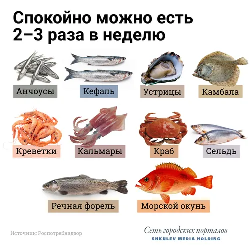 Названия Рыб С Картинками Картинки диаграмма