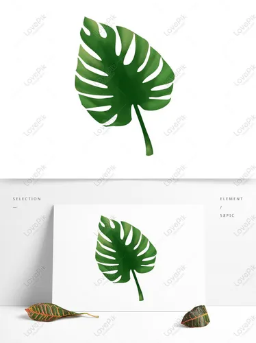 Нарисованные Картинки зеленый лист с коричневым центром