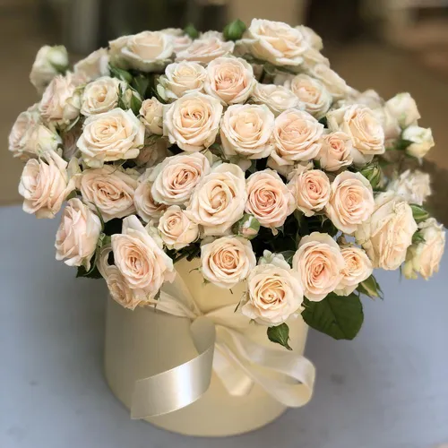 Нежные Картинки ваза с белыми розами