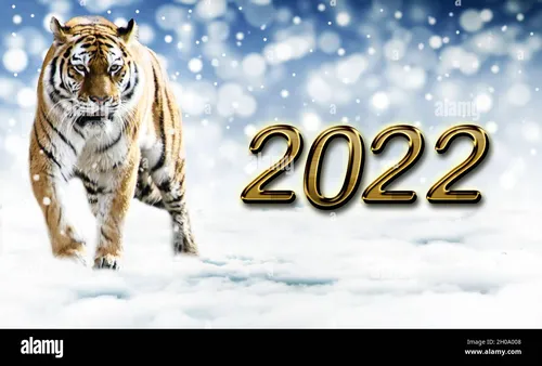 Новогодние 2022 Картинки логотип