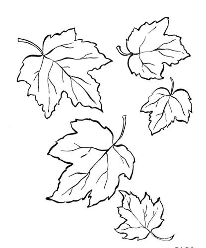 Осенние Листья Картинки рисунок дракона