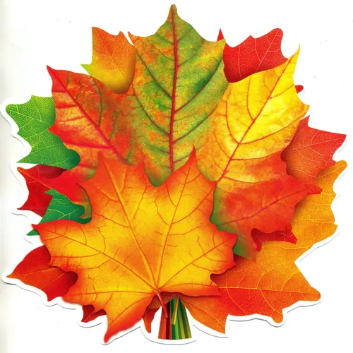 Осенние Листья Картинки фото на Samsung