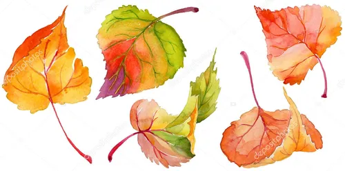 Осенние Листья Картинки рисунок