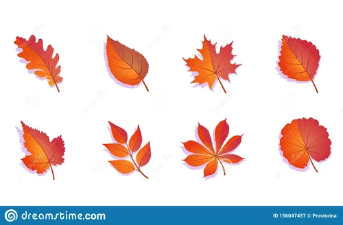 Осенние Листья Картинки логотип