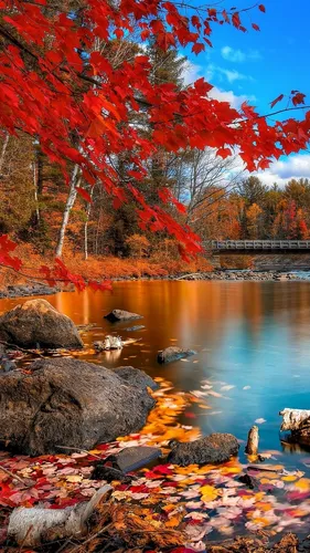 Осень Телефон Картинки река с красными листьями и деревьями
