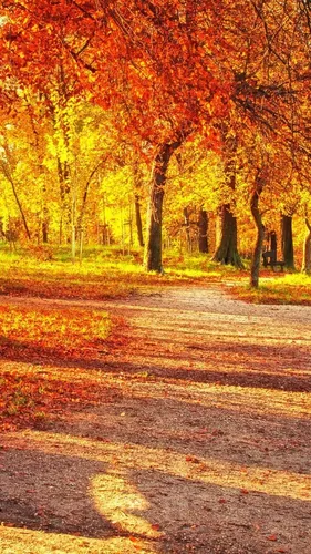 Осень Телефон Картинки картинка