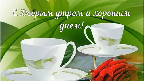 Пожелания С Добрым Утром В Картинках Картинки пара чайных чашек и блюдцев с розой