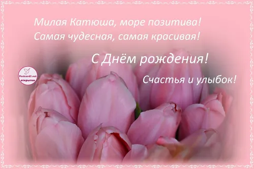 С Днем Рождения Катюша Картинки группа розовых цветов