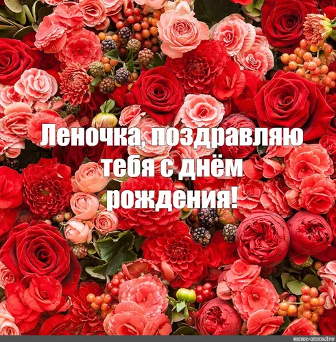 С Днем Рождения Леночка Картинки букет красных роз