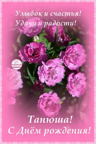 С Днем Рождения Танюша Картинки группа фиолетовых цветов