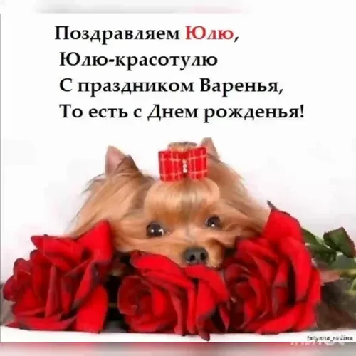 С Днем Рождения Юля Картинки собака в красном галстуке-бабочке