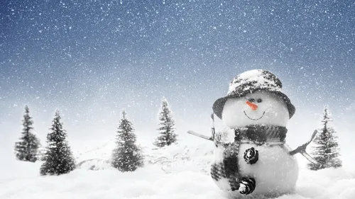 Снеговик Картинки снеговик в снегу
