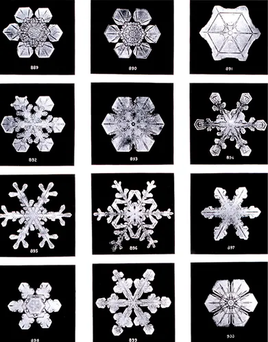 Снежинки Картинки серия изображений разных форм