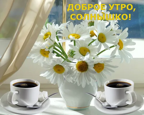 Солнышко Доброе Утро Картинки группа цветов в белых чашках