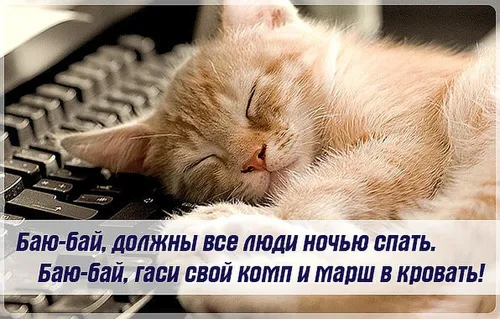 Спокойной Ночи Смешные Картинки кошка спит на клавиатуре