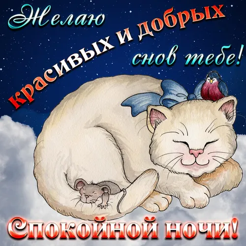Спокойной Ночи Смешные Картинки пара кошек, лежащих на одеяле с текстом выше