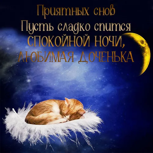 Спокойной Ночи Любимая Картинки кошка, лежащая на луне