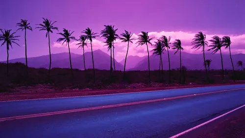 Фиолетовые Картинки дорога с пальмами на обочине