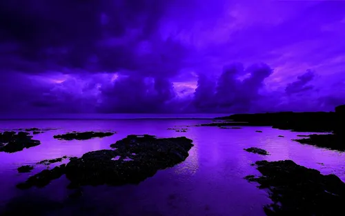 Фиолетовые Картинки водоем с камнями и землей сзади