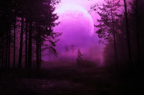Фиолетовые Картинки туманный лес с деревьями