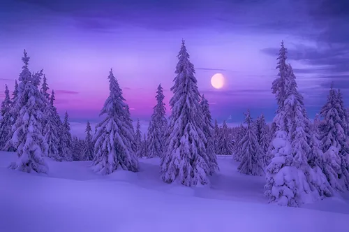 Фиолетовые Картинки снежный пейзаж с деревьями и луной в небе