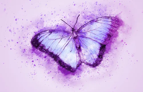 Фиолетовые Картинки фиолетовая бабочка на белой поверхности