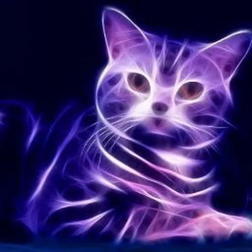 Фиолетовые Картинки кошка с человеческим лицом
