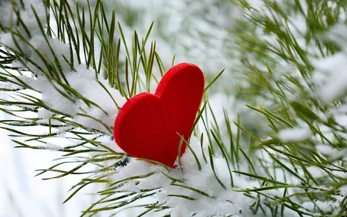 14 Февраля Картинки красное сердце на ветке дерева
