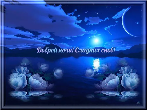 Анимация Спокойной Ночи Картинки группа медуз в воде