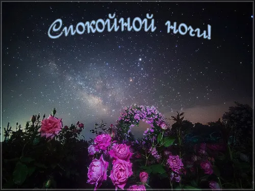 Анимация Спокойной Ночи Картинки фиолетовые цветы со звездами в небе