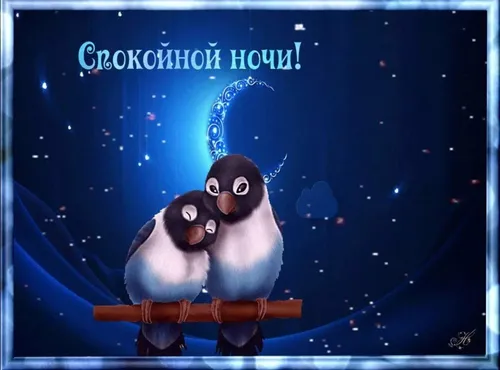 Анимация Спокойной Ночи Картинки пара птиц на ветке