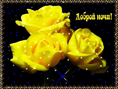 группа желтых роз