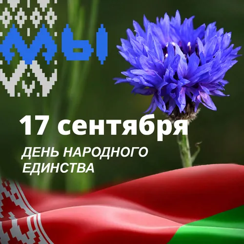 День Народного Единства Картинки цветок крупным планом
