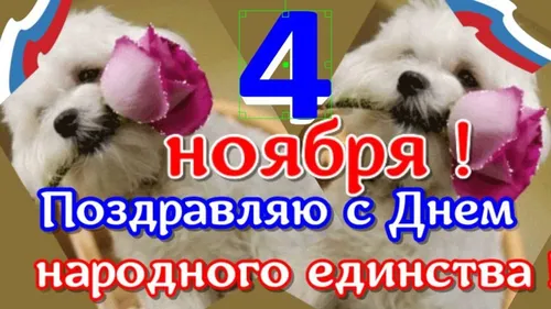 День Народного Единства Картинки пара собак