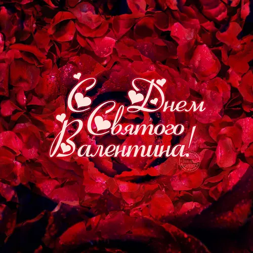 День Святого Валентина Картинки куча красных листьев