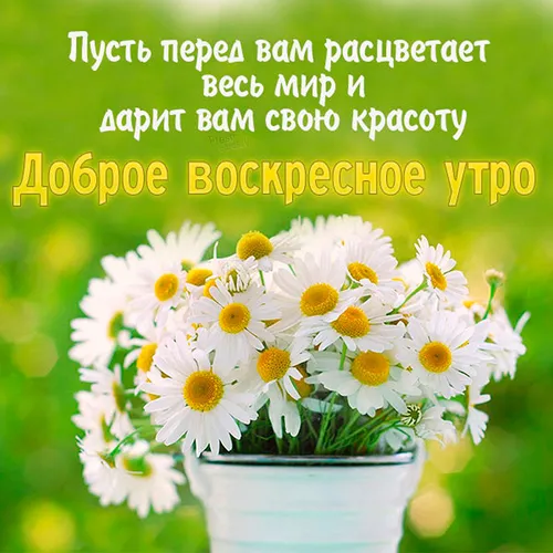 Доброе Воскресное Утро Картинки ваза с белыми цветами