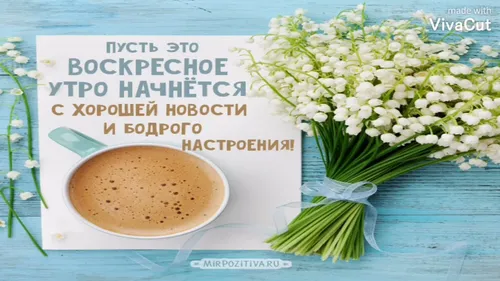 Доброе Воскресное Утро Картинки чашка кофе и цветок