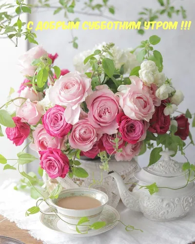 Доброе Субботнее Утро Картинки букет розовых роз