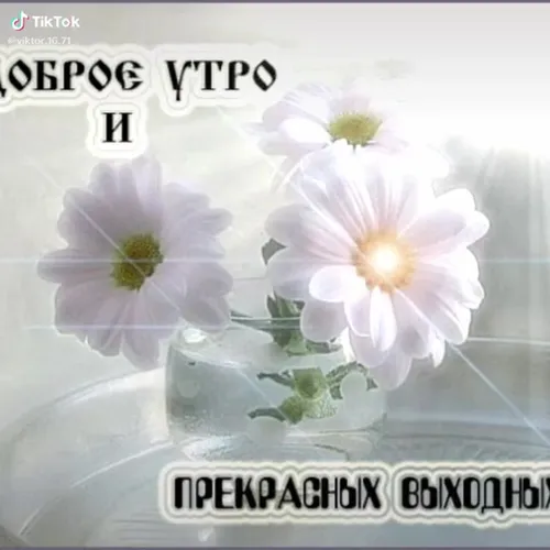 Доброе Субботнее Утро Картинки ваза с белыми цветами