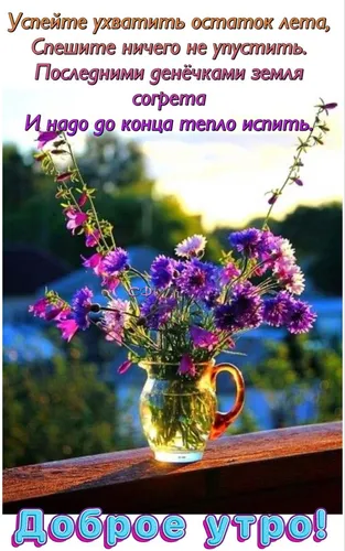 Доброе Утро Лето Картинки ваза с фиолетовыми цветами