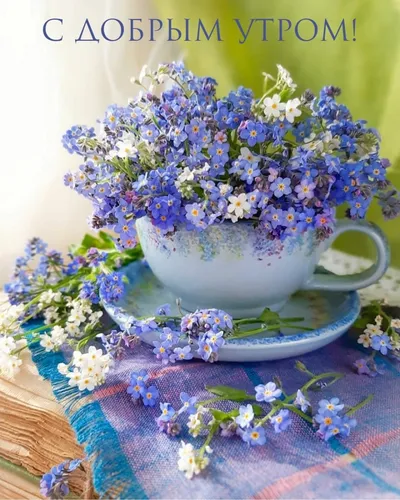Доброе Утро Лето Картинки чайная чашка с цветами