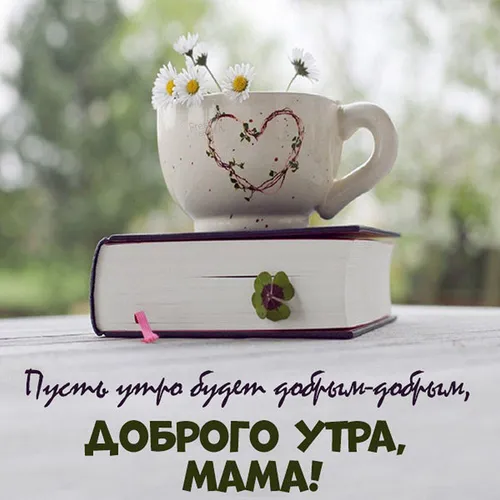 Доброе Утро Мама Картинки чайная чашка с цветами сверху
