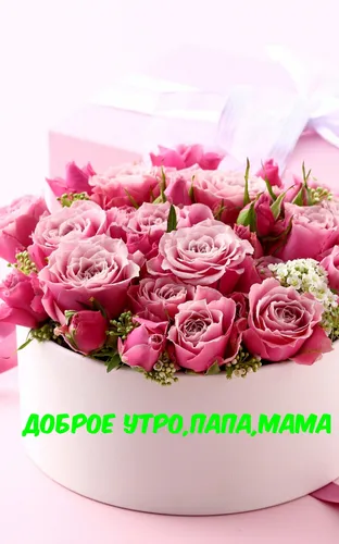 Доброе Утро Мама Картинки торт с розовыми розами