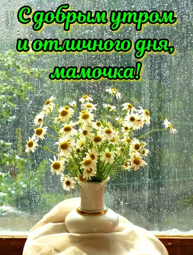 Доброе Утро Мама Картинки ваза с желтыми цветами