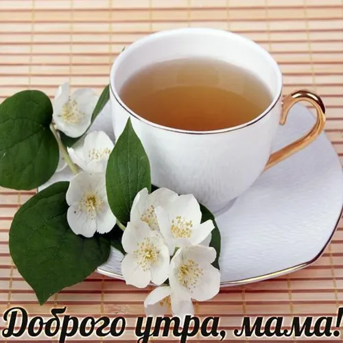 Доброе Утро Мама Картинки чашка чая с белыми цветами