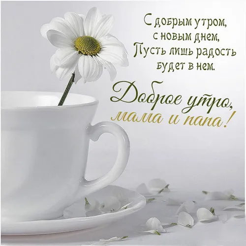 Доброе Утро Мама Картинки белый цветок в белой кружке