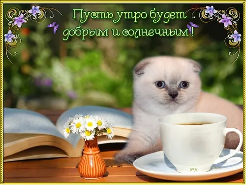 Доброе Утро Мама Картинки кошка сидит рядом с чашкой кофе
