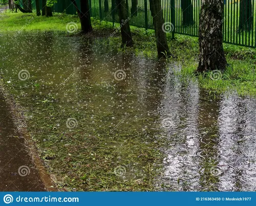 Дождь Картинки лужа воды на дороге