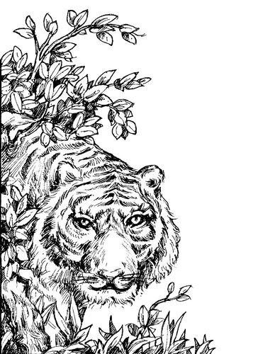 Для Выжигания Картинки черно-белый рисунок льва с черной гривой