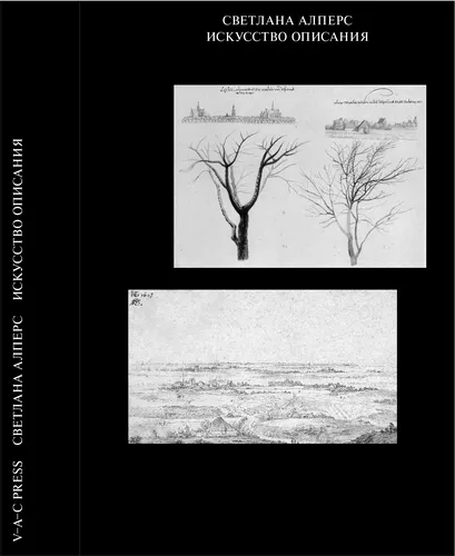 Для Описания Картинки черно-белое фото деревьев в заснеженном поле